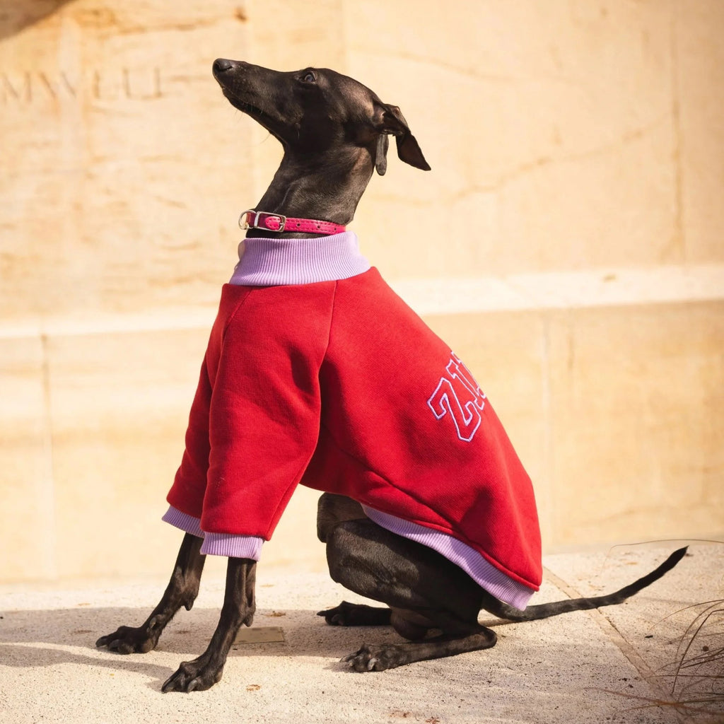 Cozy Bandito Sweatshirt