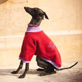 Cozy Bandito Sweatshirt