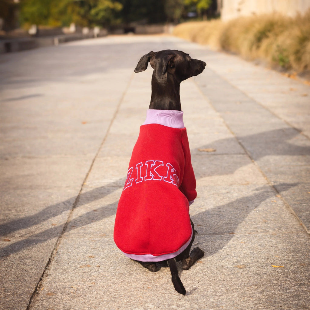 Cozy Bandito Sweatshirt