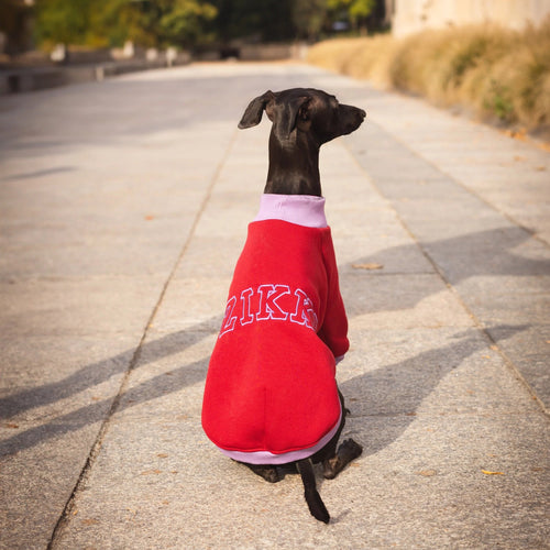 Cozy Bandito Sweatshirt