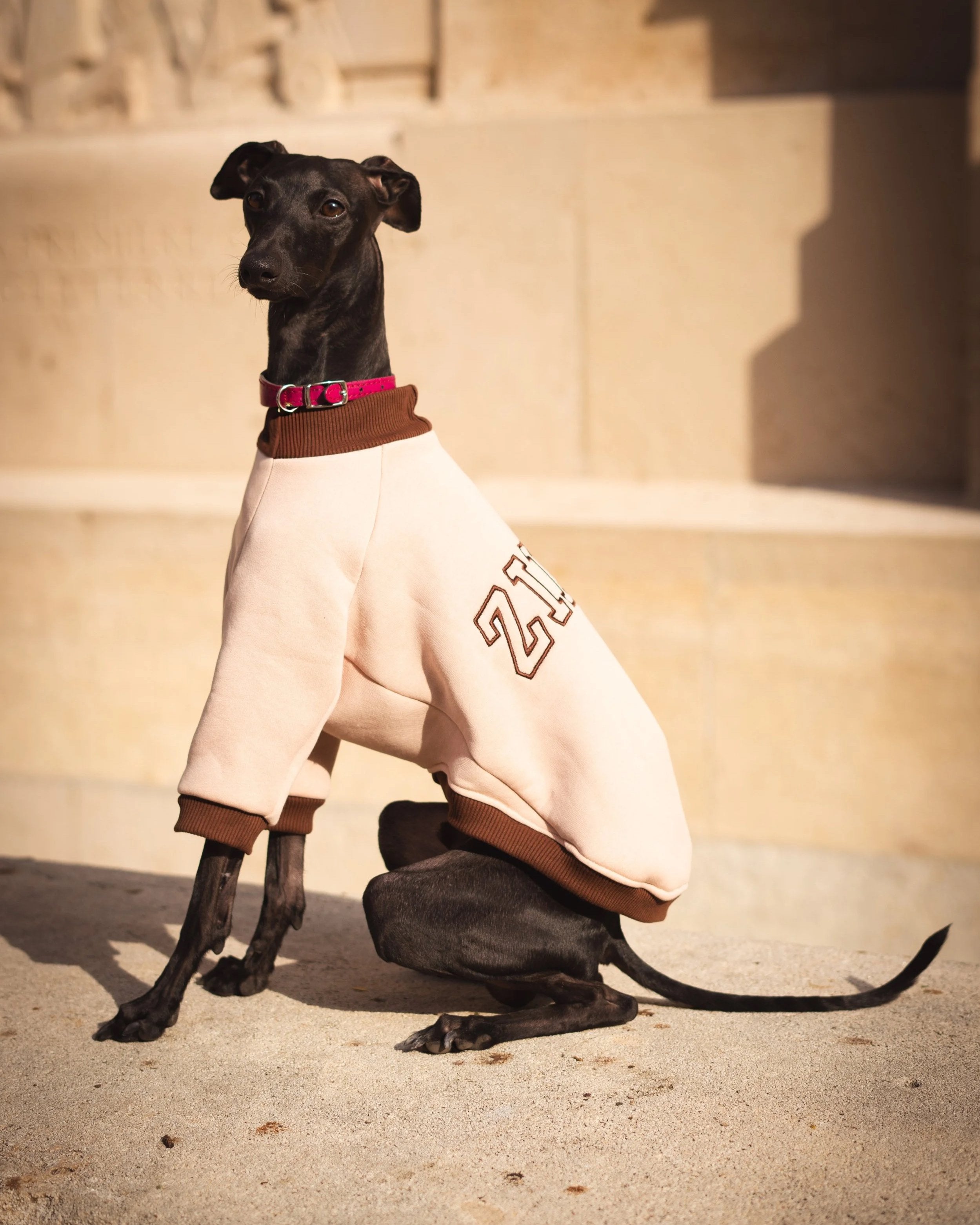 Cozy Bandito Sweatshirt