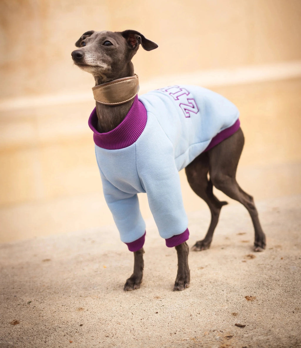 Cozy Bandito Sweatshirt
