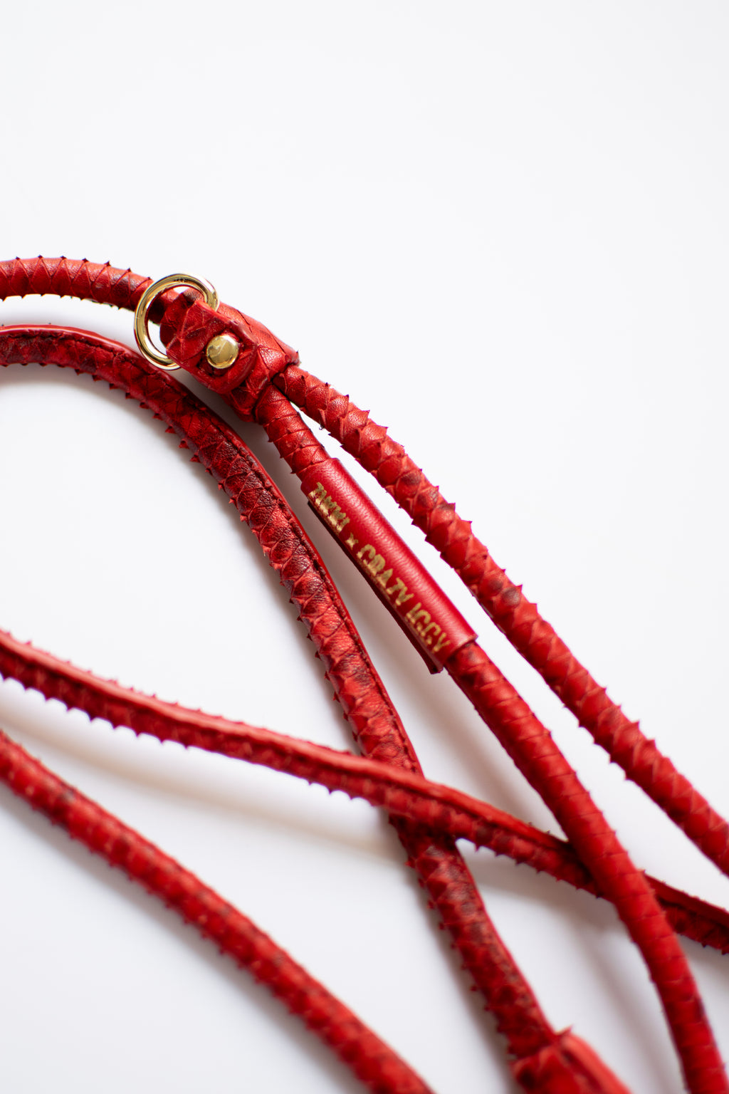 Leash