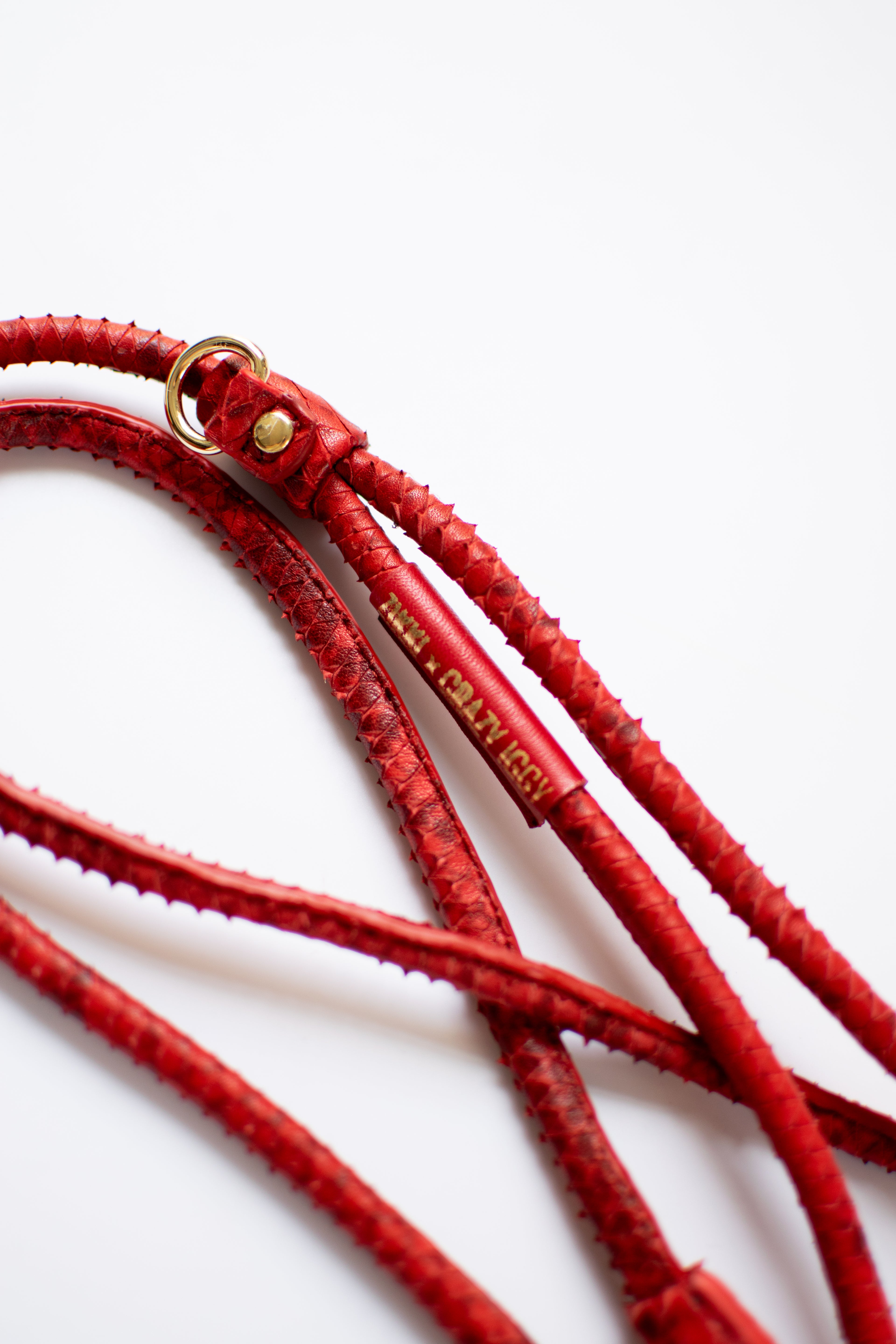 Leash