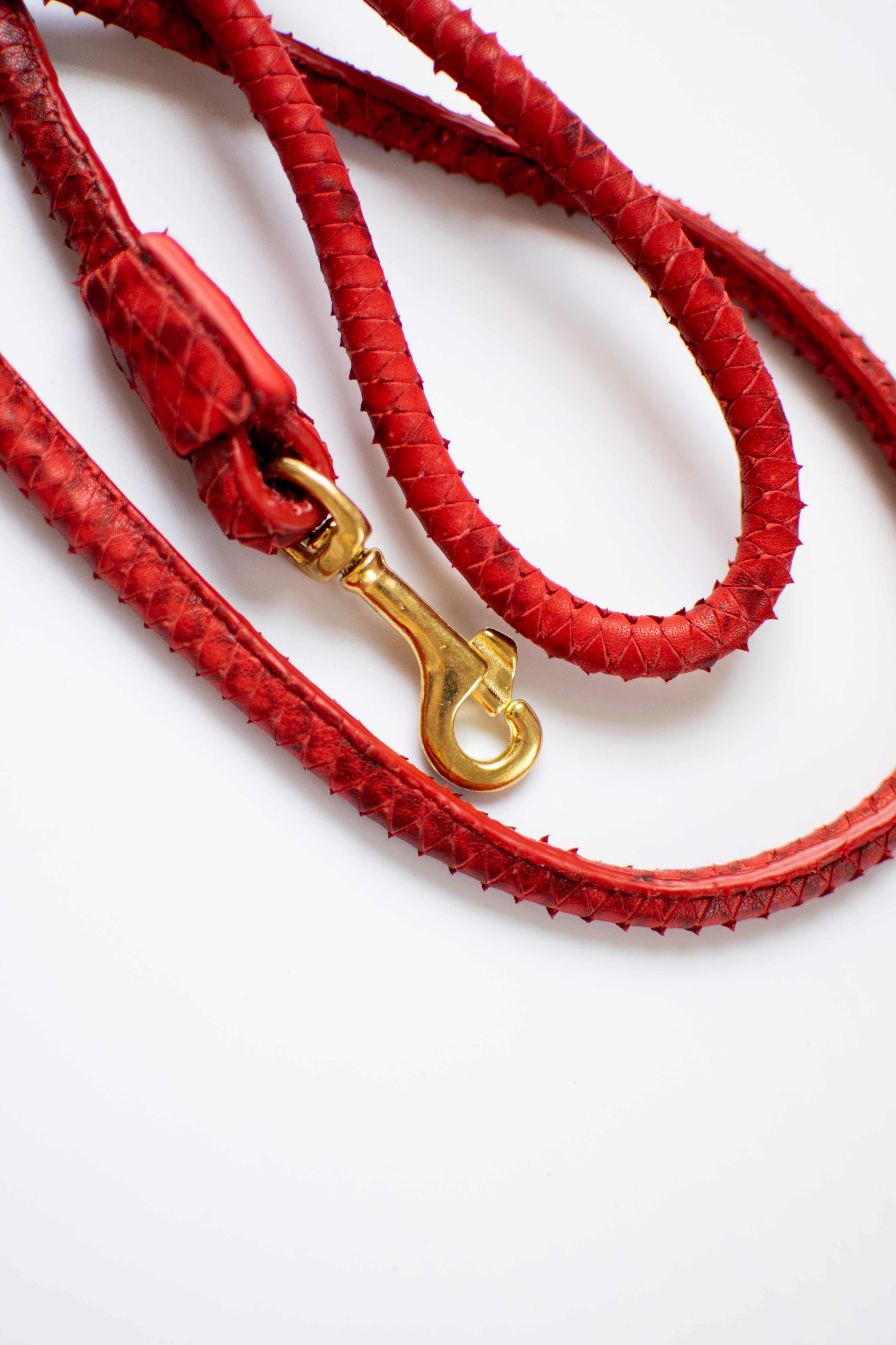 Leash