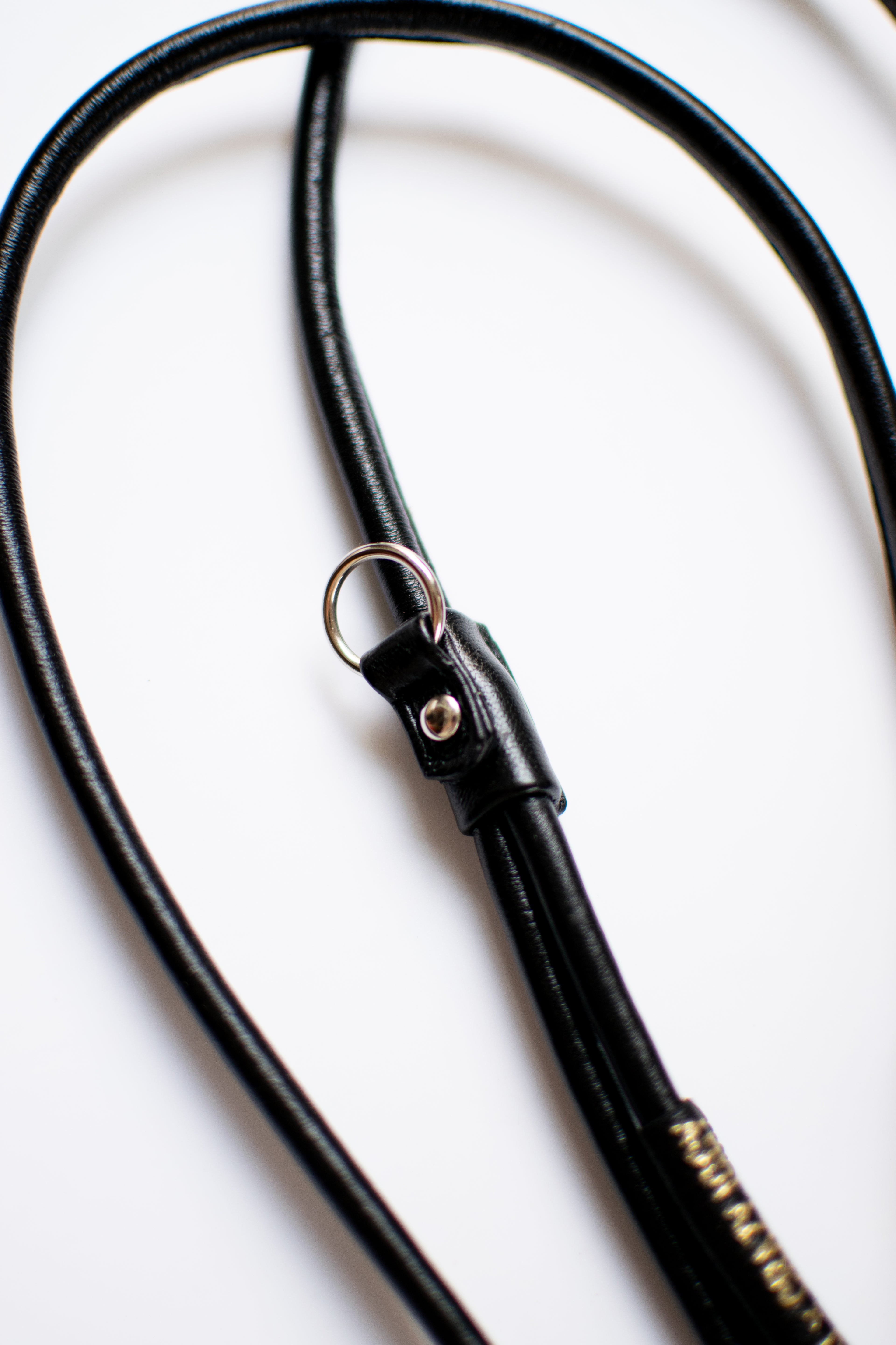 Leash