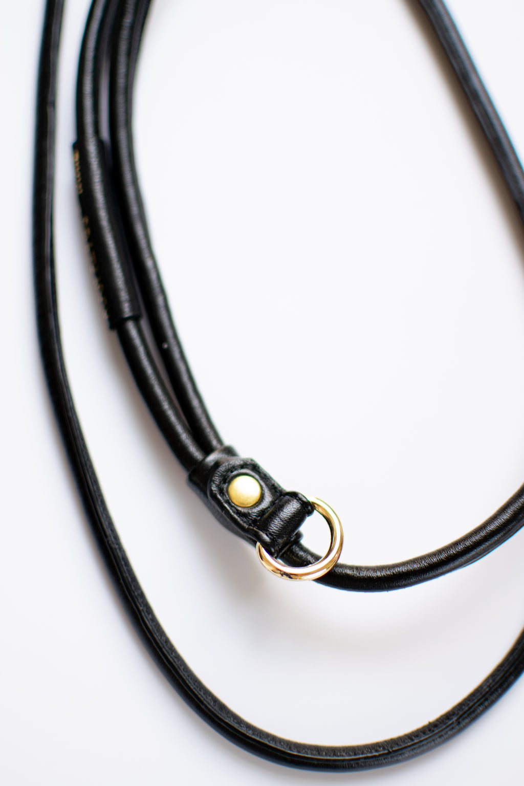 Leash