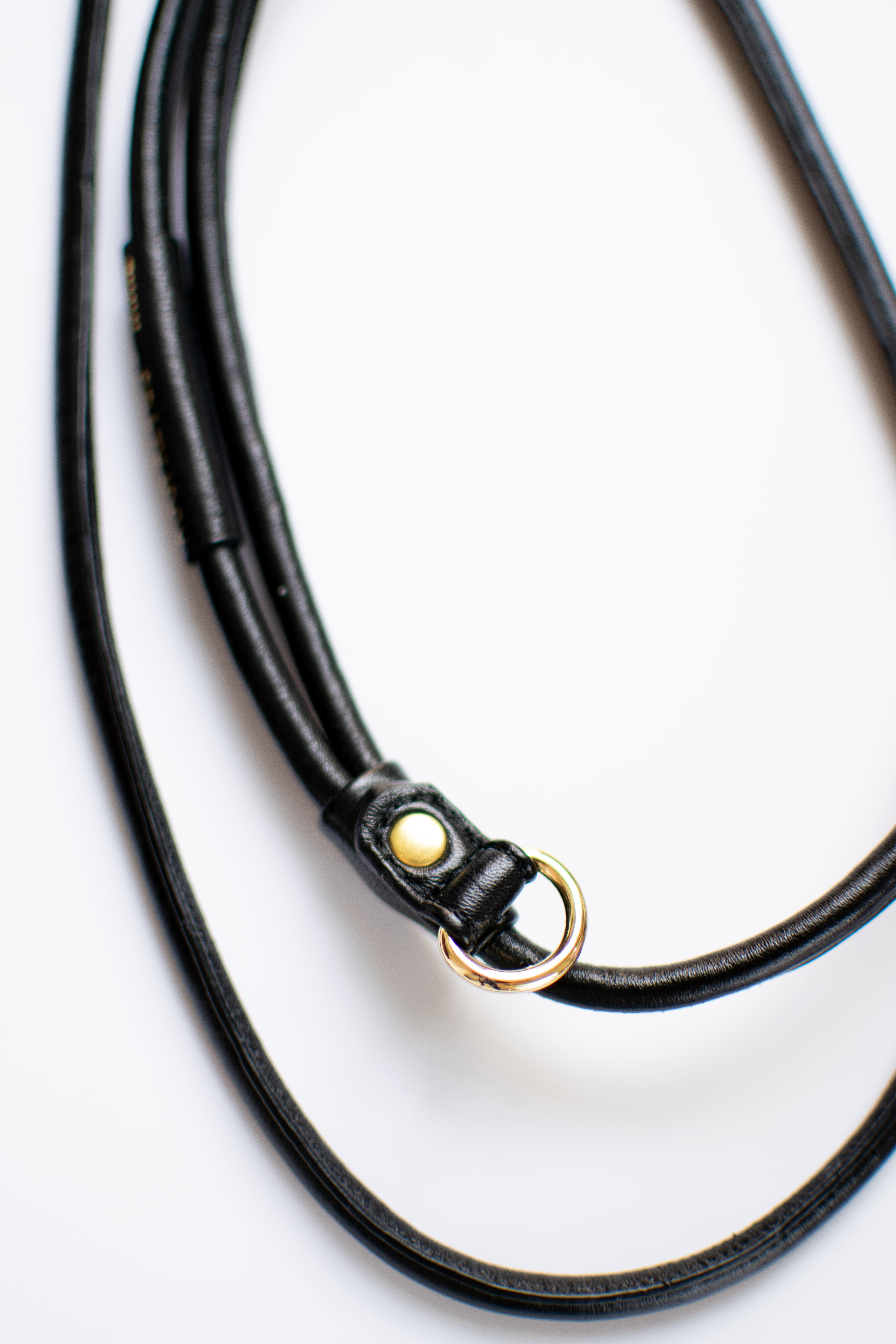 Leash