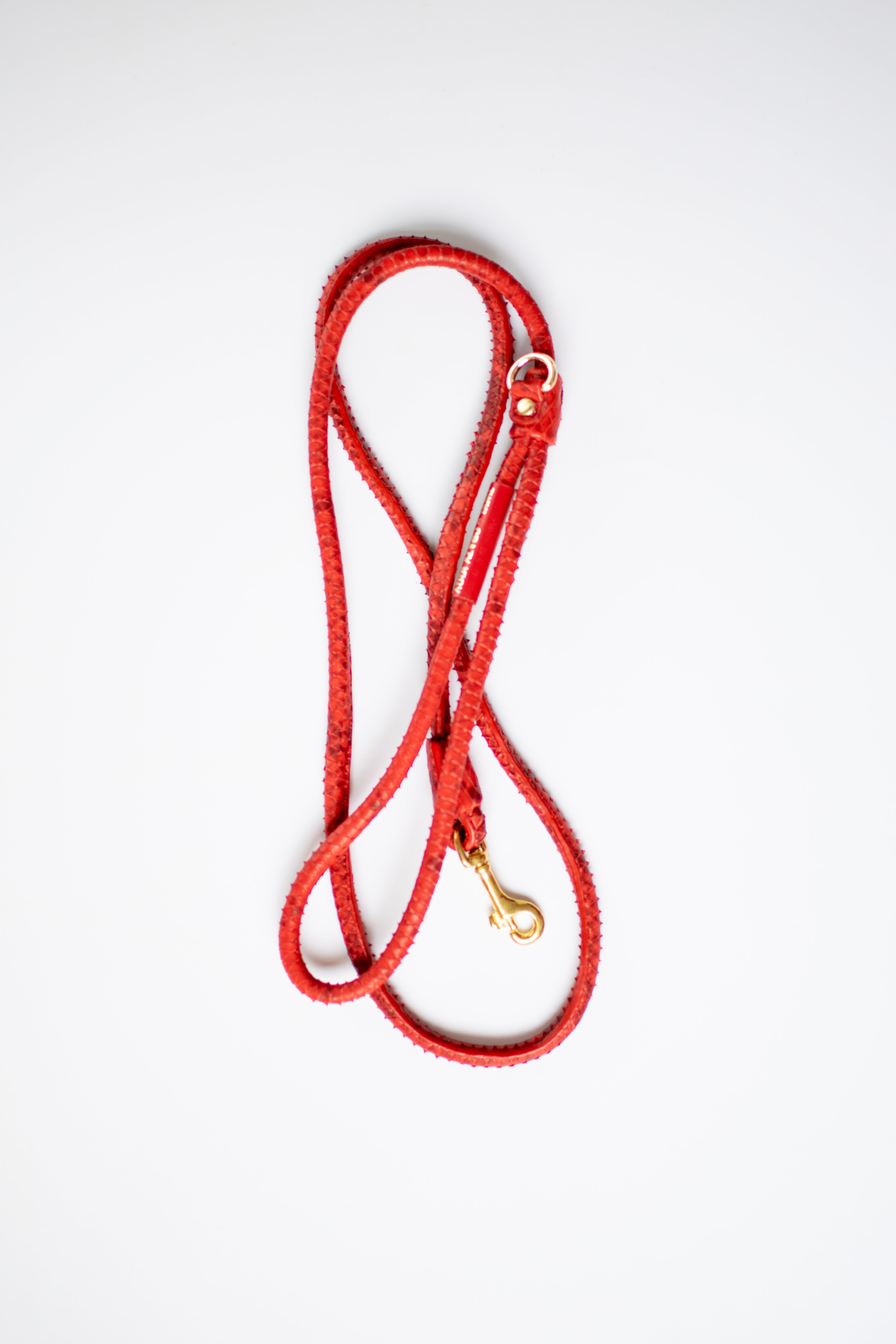 Leash