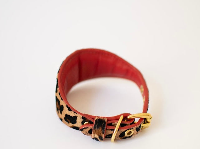 Collar